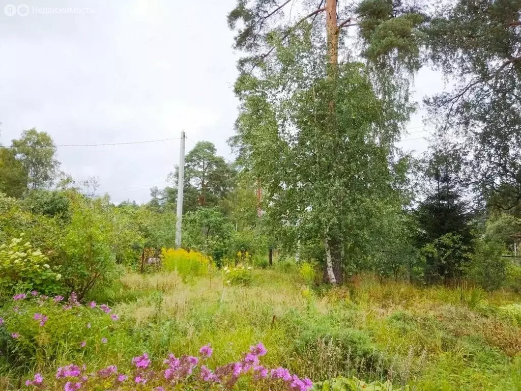 Дом в городской посёлок Вырица, улица Карла Маркса (117 м) - Фото 1