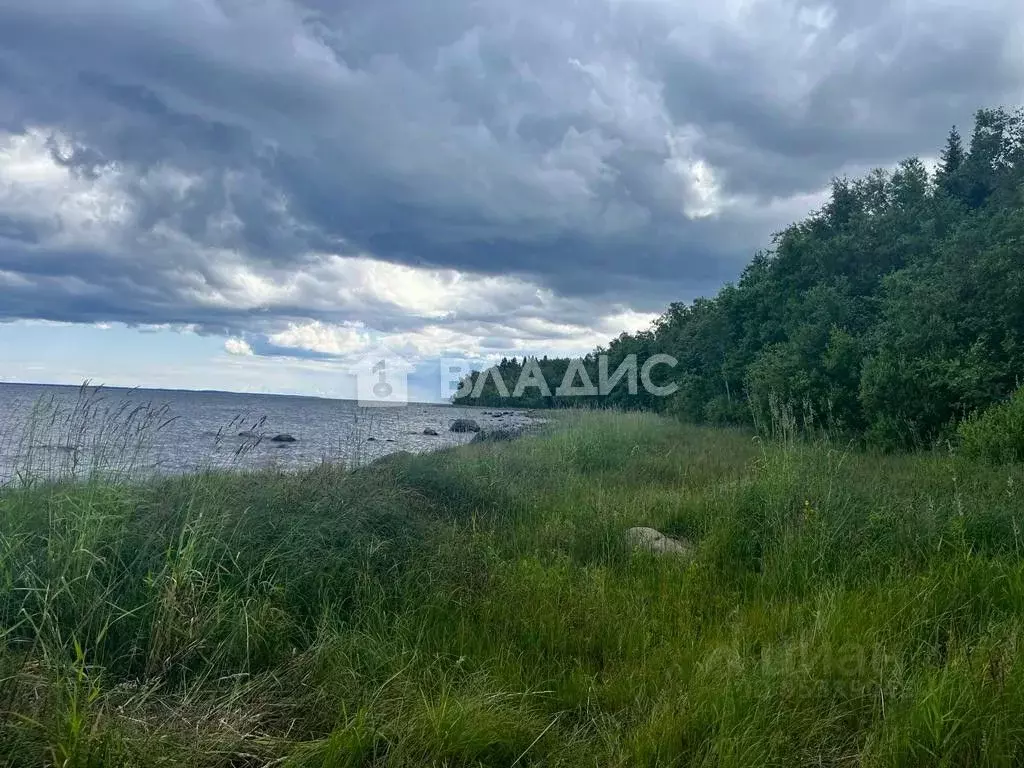 Участок в Ленинградская область, Приозерский район, Ларионовское ... - Фото 0