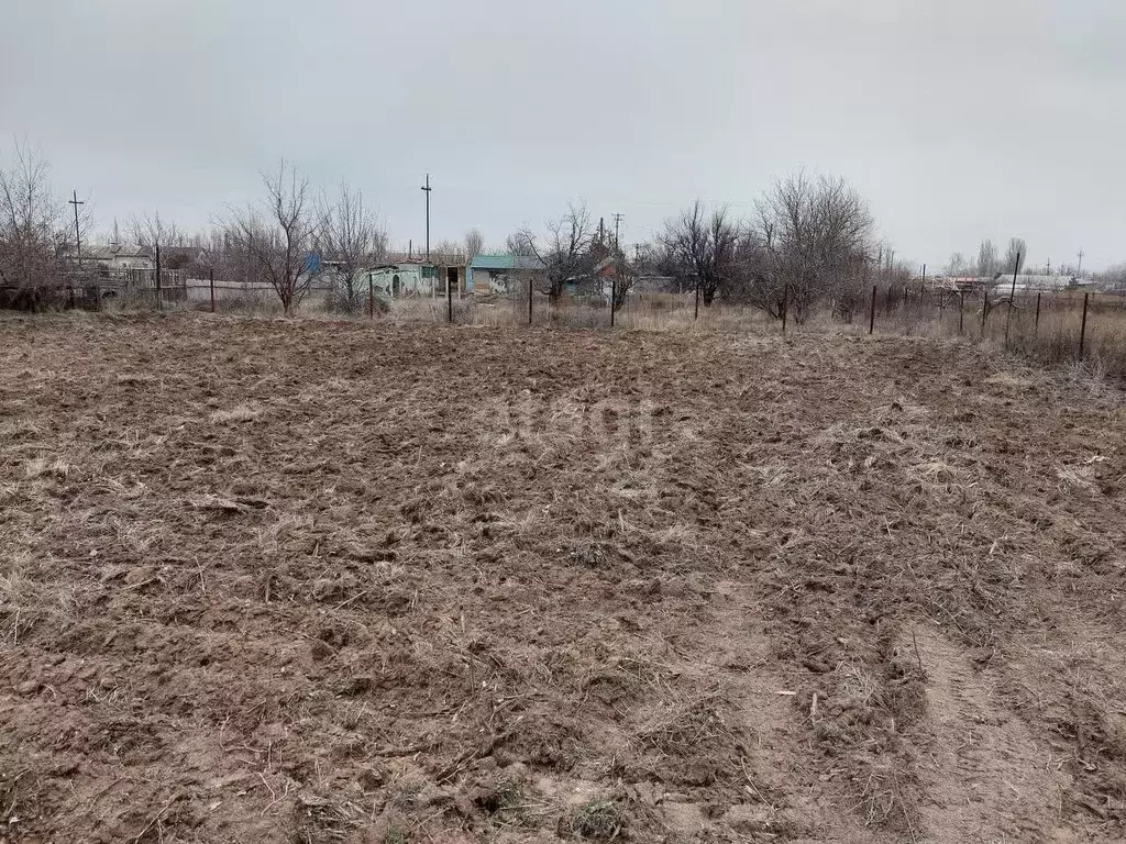 Участок в Волгоградская область, Среднеахтубинский район, Клетское ... - Фото 1