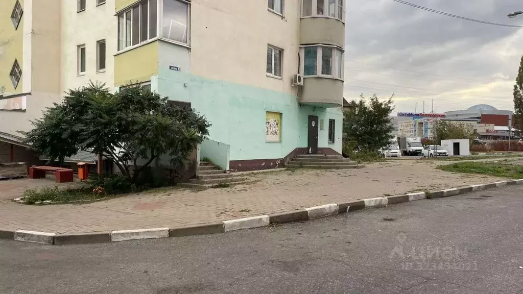 Помещение свободного назначения в Белгородская область, Белгород ул. ... - Фото 2