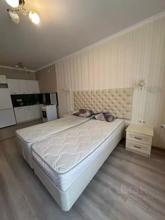 Студия Московская область, Одинцовский городской округ, с. Немчиновка ... - Фото 2