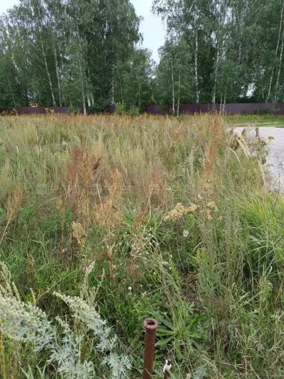 Участок в Татарстан, Лаишевский район, Егорьевское с/пос, с. Бима ул. ... - Фото 2
