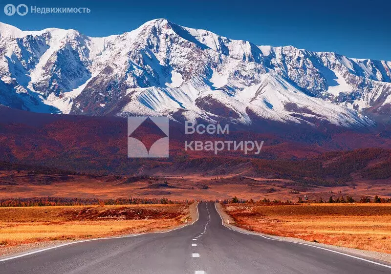 Участок в Кош-Агачский район, село Курай (1 м) - Фото 0