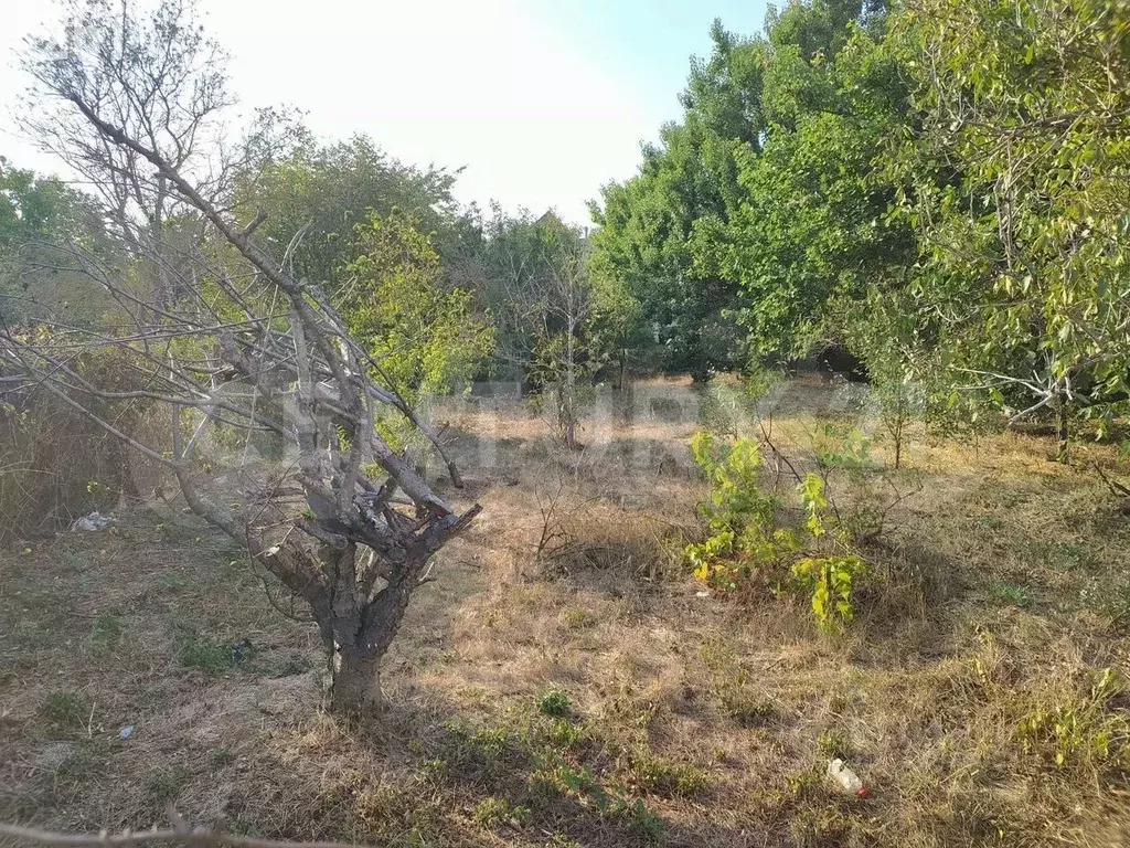 Участок в Севастополь Парус-2 садоводческое товарищество, 87 (4.0 ... - Фото 2