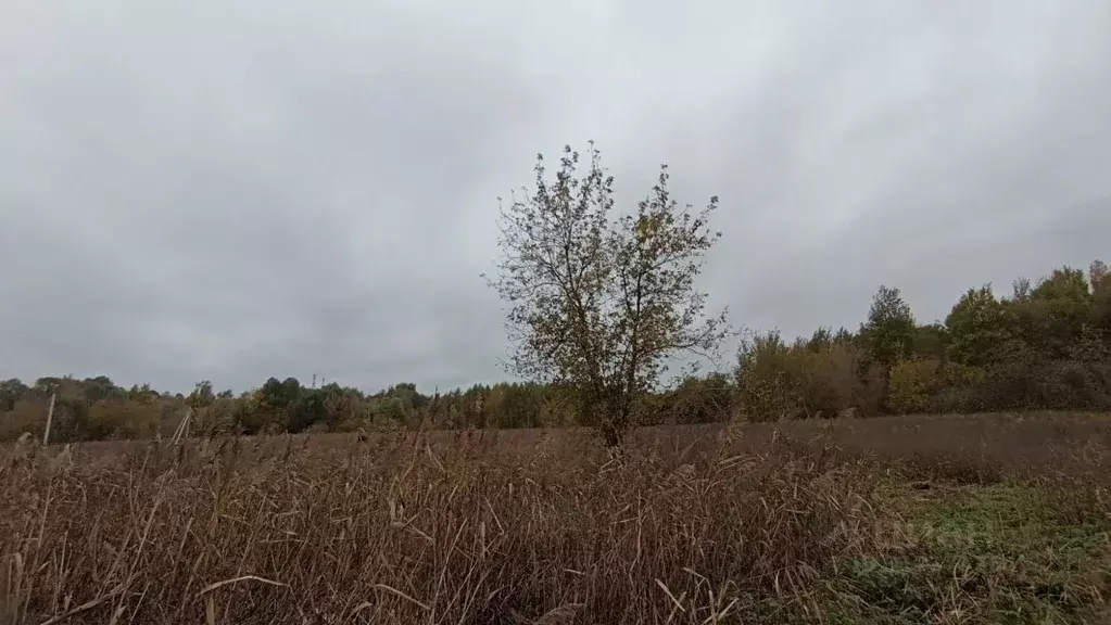 Участок в Московская область, Шатура  (30.0 сот.) - Фото 0