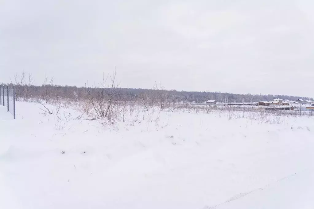 Участок в Башкортостан, Чишминский район, Лесной сельсовет, с. ... - Фото 1