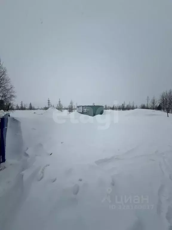 Участок в Ямало-Ненецкий АО, Новый Уренгой Озерное ДНТ, ул. 1-я ... - Фото 2