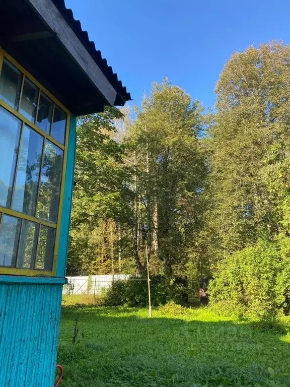 Участок в Московская область, Пушкинский городской округ, ... - Фото 1