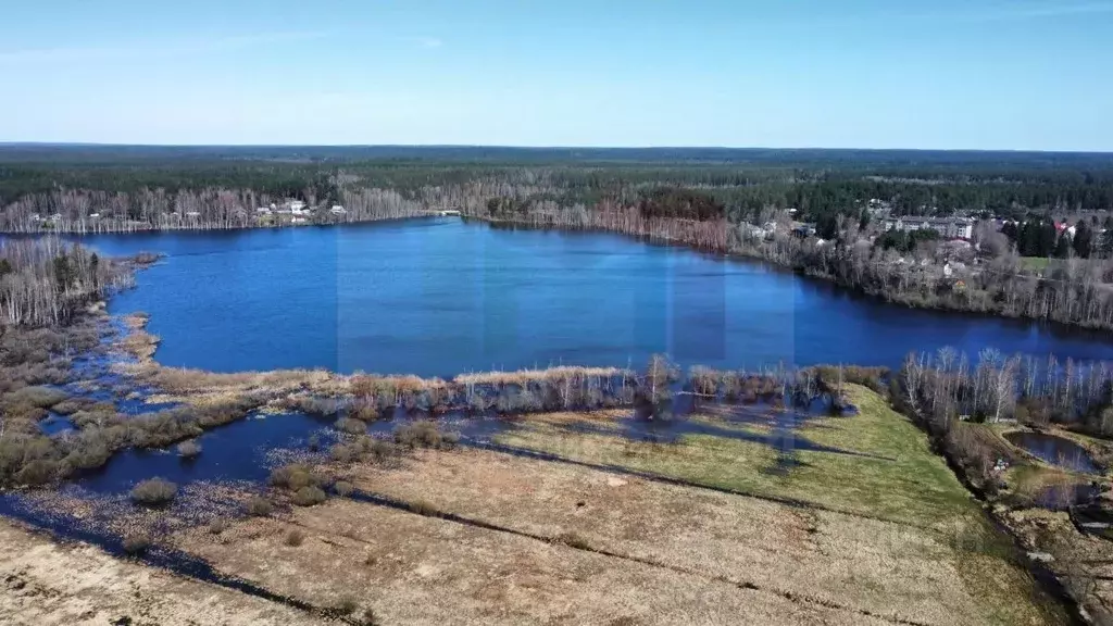 Участок в Ленинградская область, Приозерский район, Раздольевское ... - Фото 2