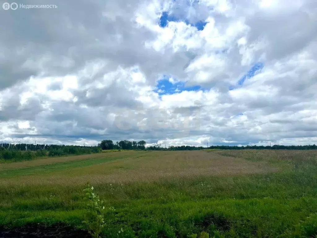 Участок в Выгоничский район, Кокинское сельское поселение, село Кокино ... - Фото 0