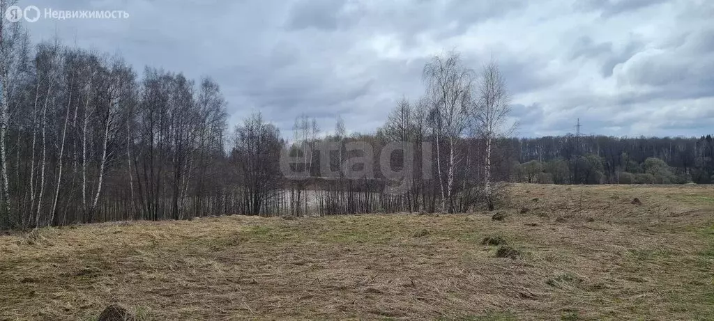 Участок в Московская область, городской округ Коломна, деревня ... - Фото 1