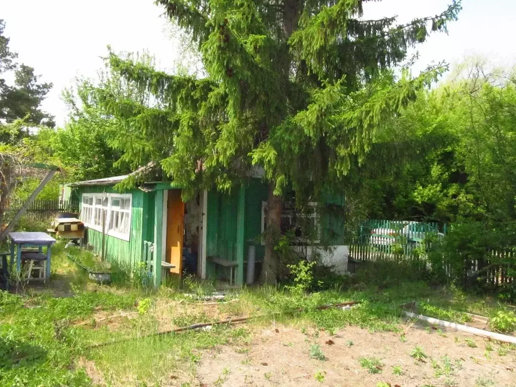 Дом в Курганская область, Курган Авиаспортклуб СНТ,  (20 м) - Фото 0