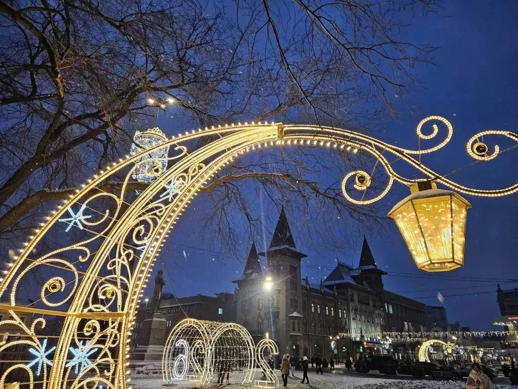 1-к кв. Саратовская область, Саратов ул. Имени И.С. Кутякова, 41/59 ... - Фото 2