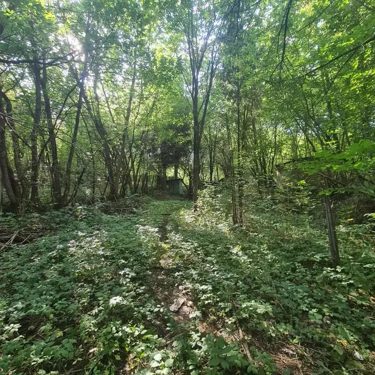 Участок в Москва пос. Речник,  (12.0 сот.) - Фото 2