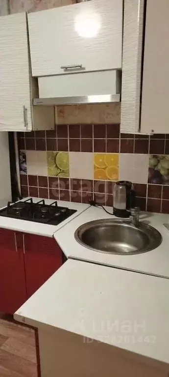 1-к кв. Алтайский край, Барнаул ул. Георгия Исакова, 240 (30.4 м) - Фото 2