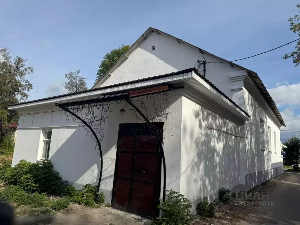 Помещение свободного назначения в Нижегородская область, Кстово ул. ... - Фото 1