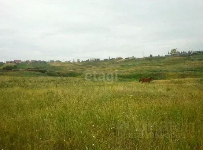 Участок в Башкортостан, Чишминский район, Ибрагимовский сельсовет, с. ... - Фото 0