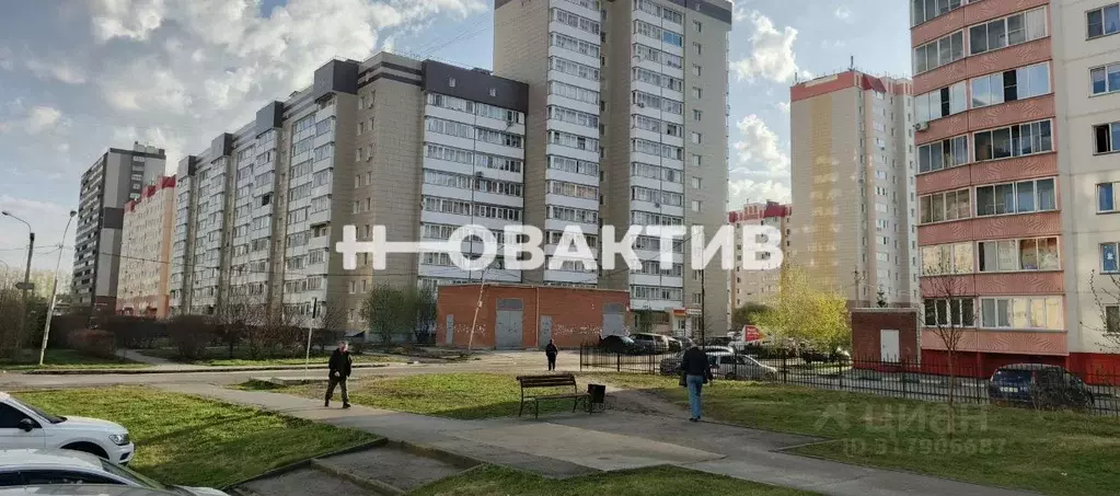 Торговая площадь в Новосибирская область, Новосибирск ул. Петухова, ... - Фото 0