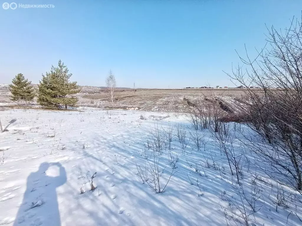 Участок в Белгородский район, Новосадовское сельское поселение, село ... - Фото 1