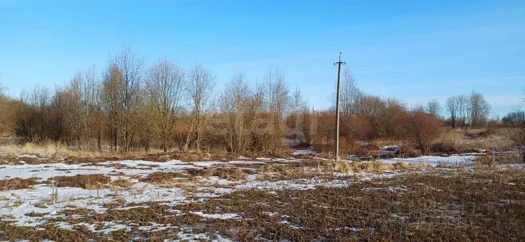 Участок в Вологодская область, Шекснинский муниципальный округ, д. ... - Фото 1