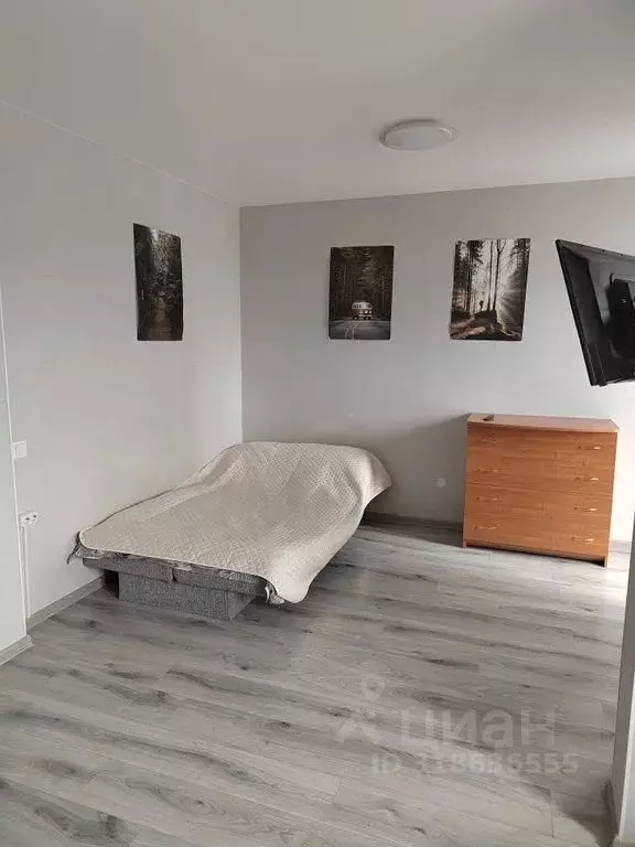 Студия Карелия, Петрозаводск ул. Энтузиастов, 15 (28.0 м) - Фото 0