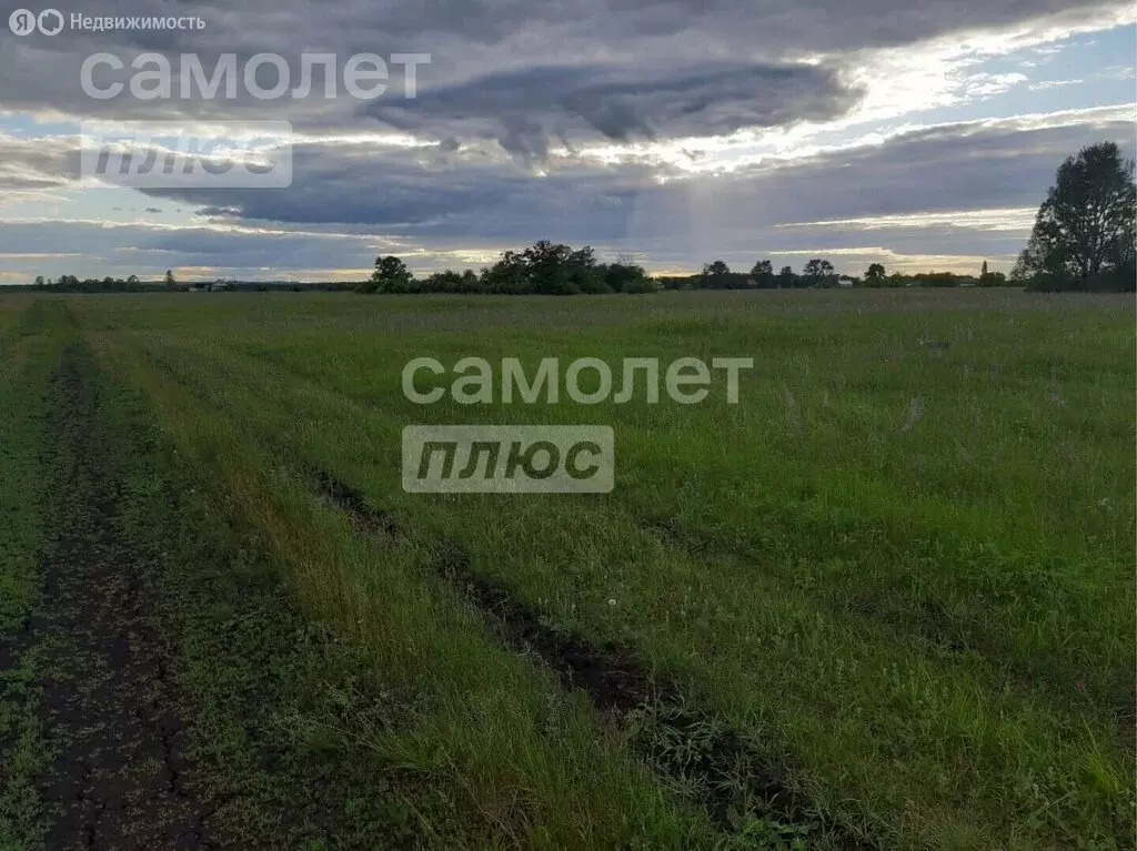 Участок в Благовещенский район, Тугайский сельсовет, деревня Берёзовка ... - Фото 1