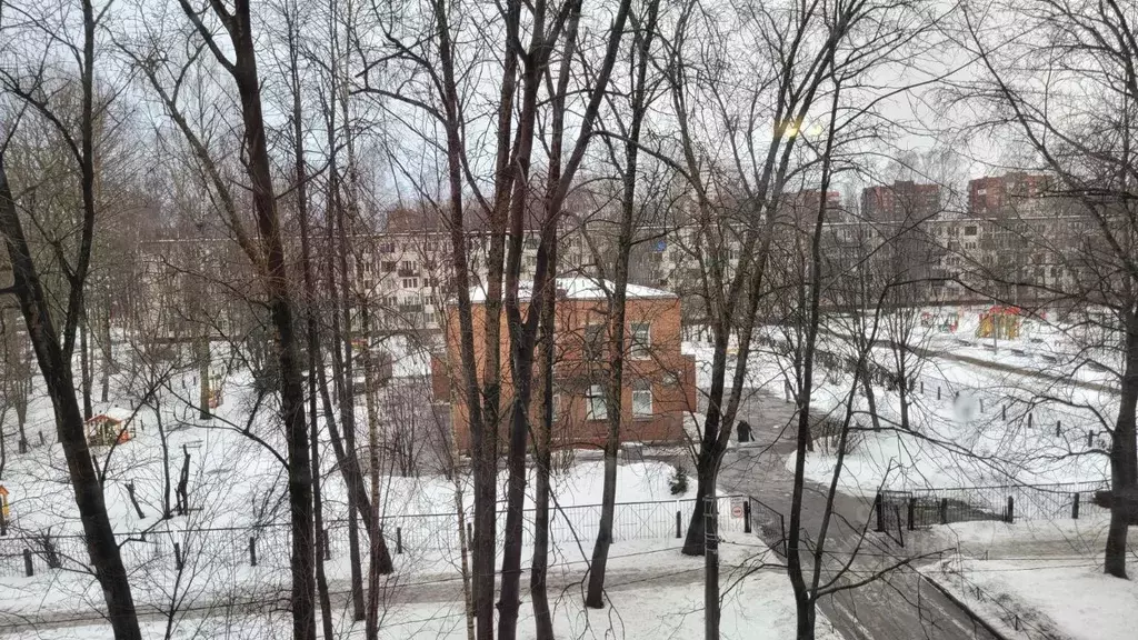 1-к кв. Санкт-Петербург ул. Ушинского, 18 (31.3 м) - Фото 2