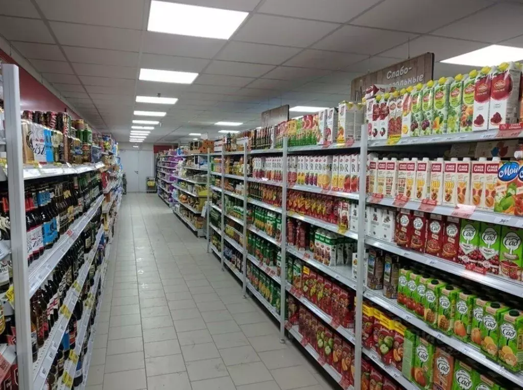 Помещение свободного назначения в Москва ул. Паперника, 7К2 (980 м) - Фото 1