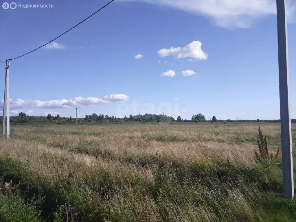 Участок в Надеждино, Северная улица (8.08 м) - Фото 0