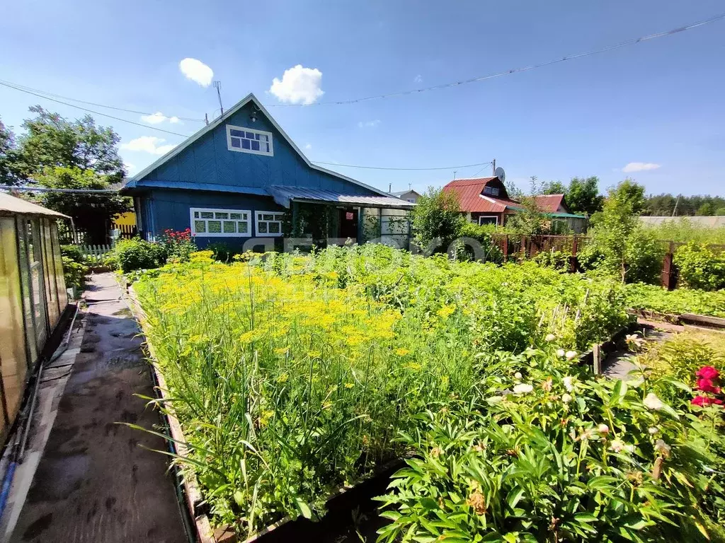 Дом в Пермский край, Березники № 14 СНТ, 87 (50 м) - Фото 2