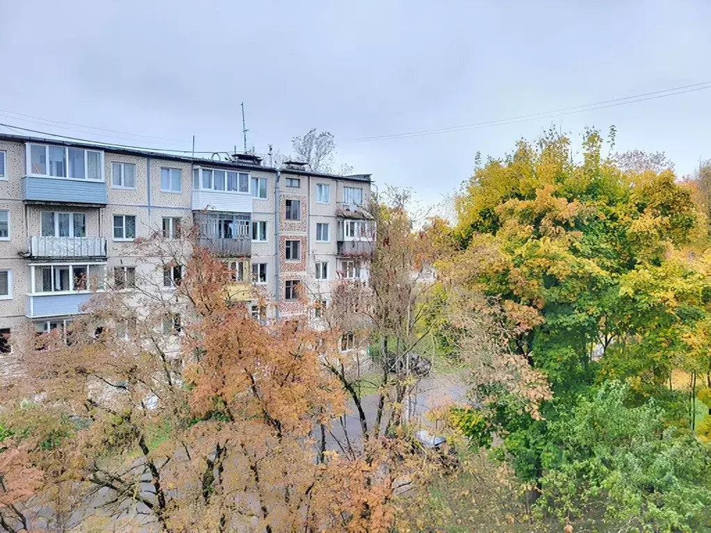 1-к кв. Ленинградская область, Гатчинский муниципальный округ, д. ... - Фото 1