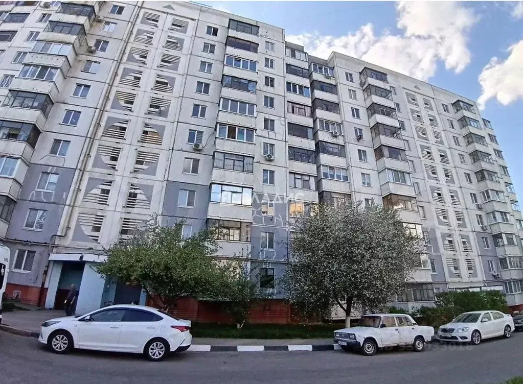 1-к кв. Белгородская область, Белгород Молодежная ул., 16 (33.0 м) - Фото 1