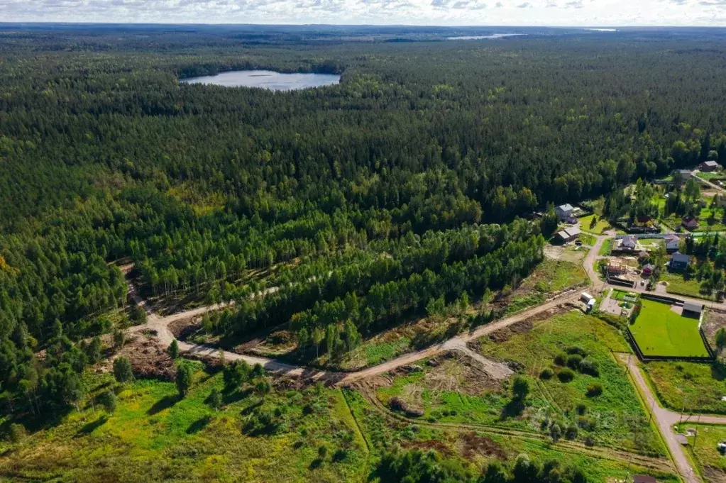 Участок в Ленинградская область, Выборгский район, Приморское ... - Фото 2