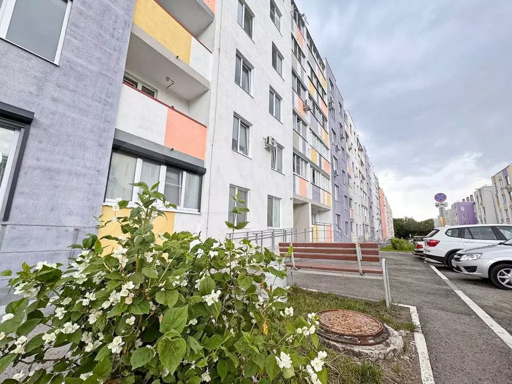 2-к. квартира, 50,4 м, 6/6 эт. - Фото 1