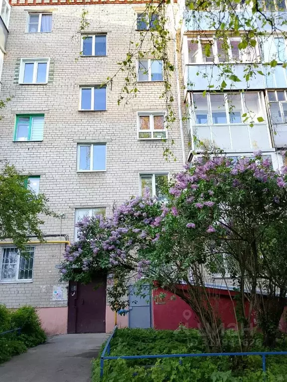 1-к кв. Ивановская область, Иваново ул. Якова Гарелина, 15 (29.8 м) - Фото 0