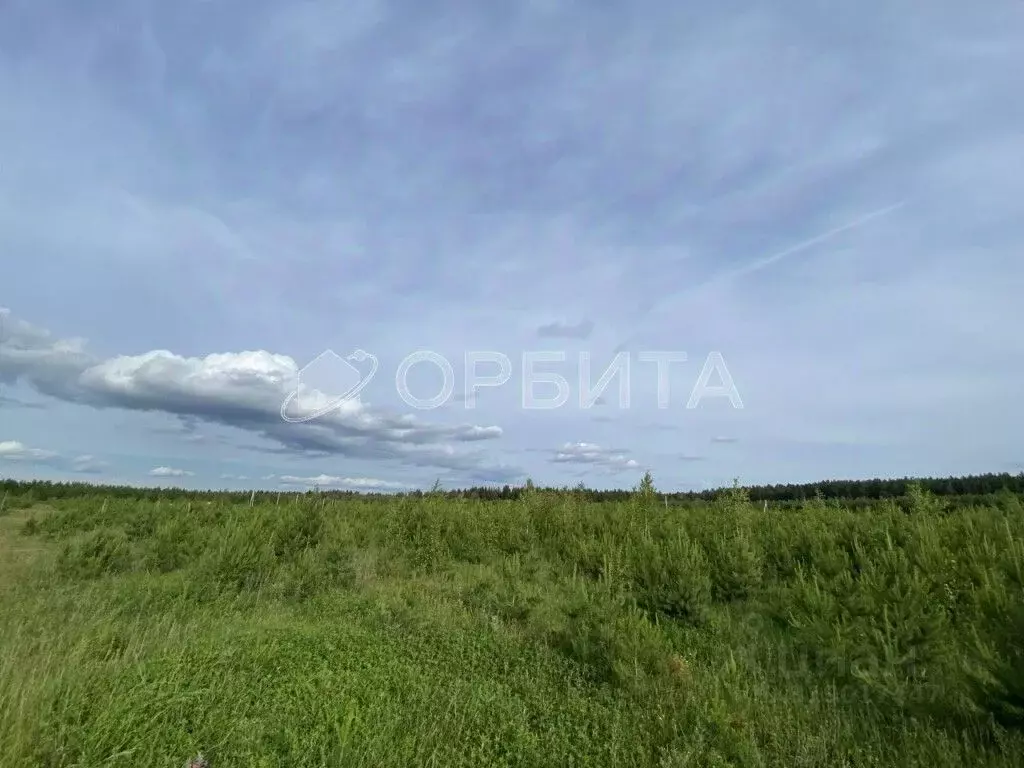 Участок в Свердловская область, Тугулым пгт ул. Белопухова, 28 (18.0 ... - Фото 0