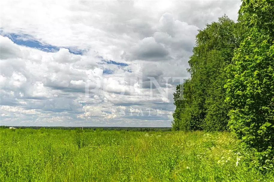 Участок в Московская область, Одинцовский городской округ, с. ... - Фото 1