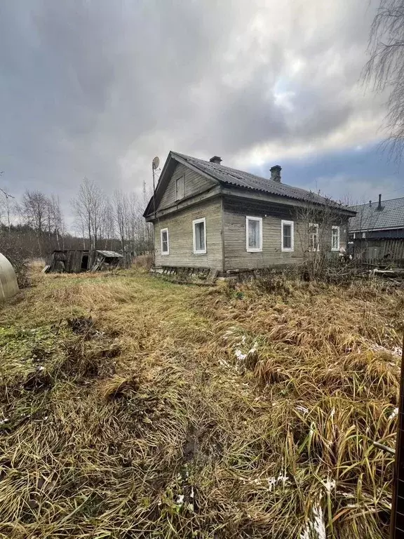 Участок в Ленинградская область, Волховский район, Пашское с/пос, с. ... - Фото 1
