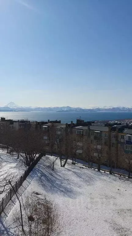 2-к кв. Камчатский край, Петропавловск-Камчатский ул. Бохняка, 25 ... - Фото 0