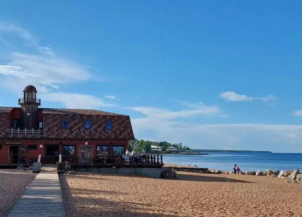 Участок в Ленинградская область, Всеволожский район, Рахьинское ... - Фото 1