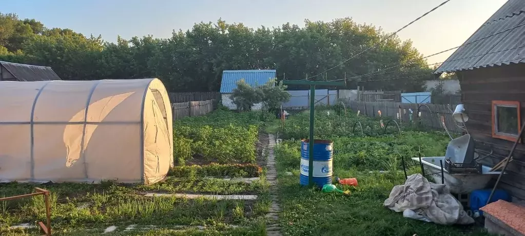 Участок в Алтайский край, Барнаул городской округ, Поселок Казенная ... - Фото 1