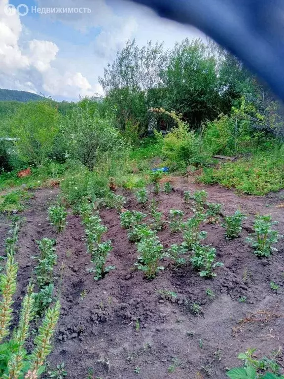 Участок в Миасс, СНТ Урал-5 (7.5 м) - Фото 2