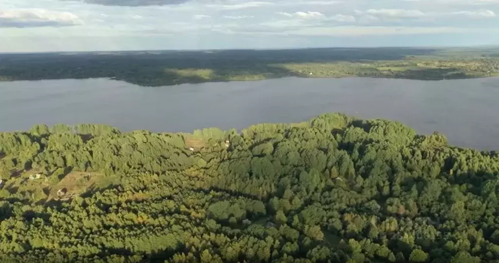 Участок в Тверская область, Осташковский муниципальный округ, д. ... - Фото 0