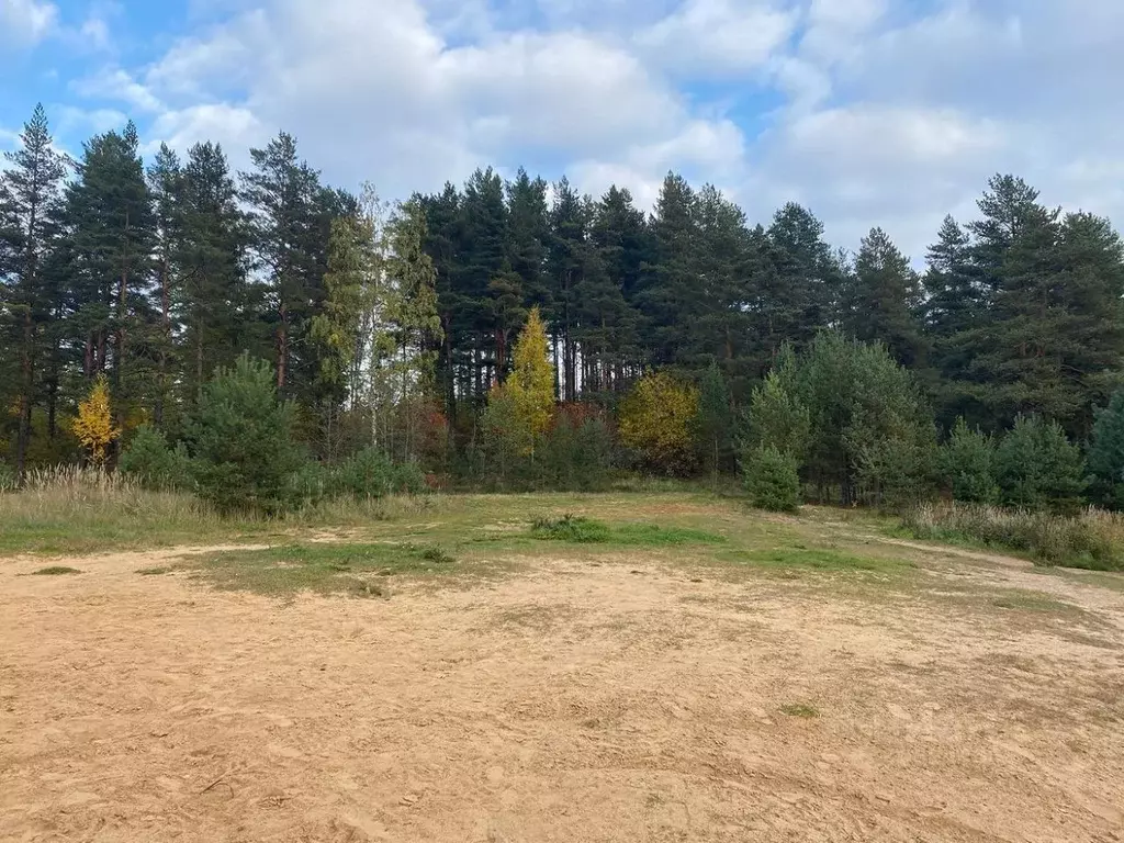 Участок в Ленинградская область, Приозерский район, Сосновское с/пос, ... - Фото 1