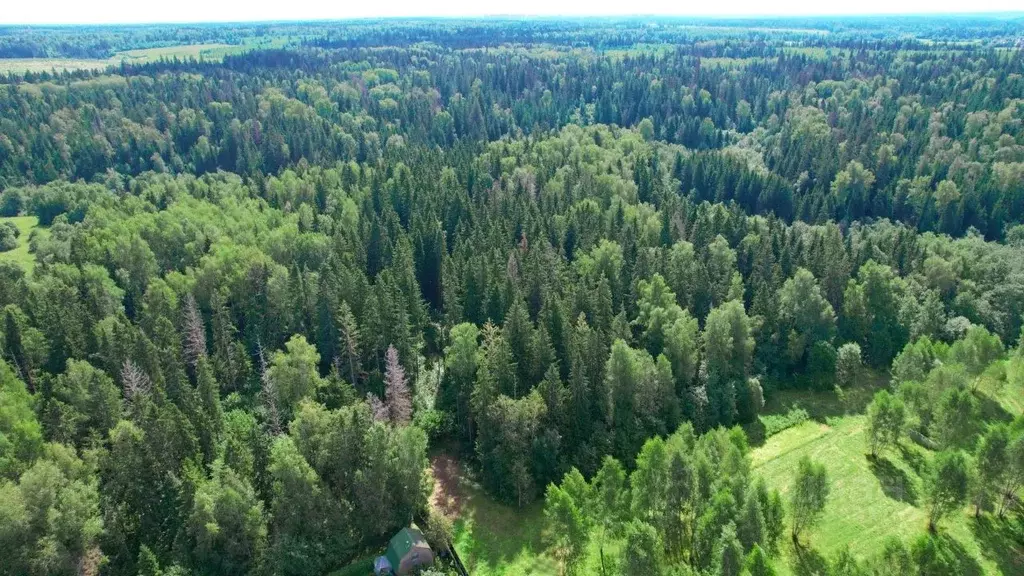 Участок в Московская область, Одинцовский городской округ, Рига лес кп ... - Фото 2
