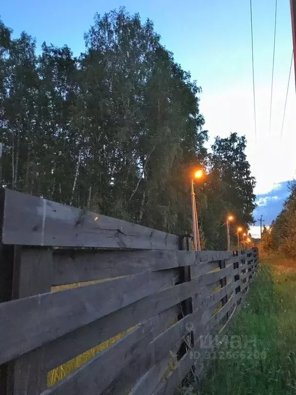 Участок в Новосибирская область, Новосибирский район, Барышевский ... - Фото 1