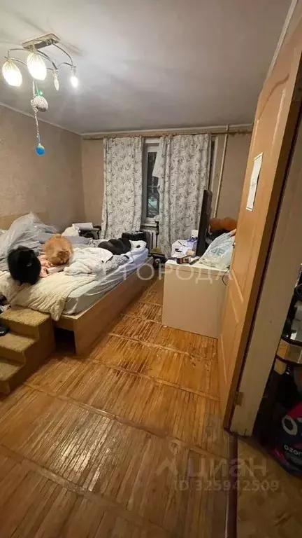 1-к кв. Новосибирская область, Искитим Томская ул., 1А (30.5 м) - Фото 1