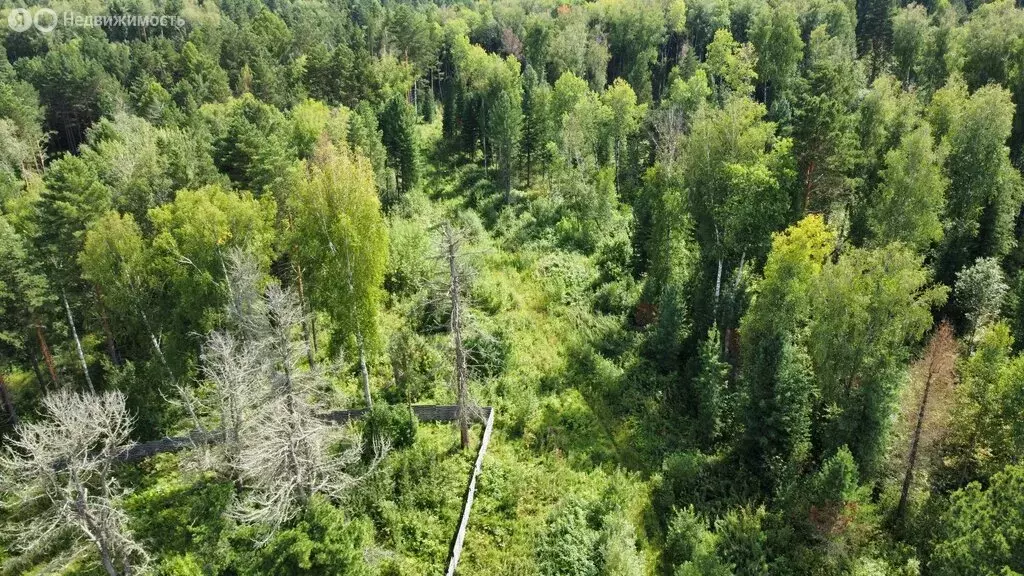 Участок в Томский район, Богашёвское сельское поселение, ДНП Некрасово ... - Фото 2