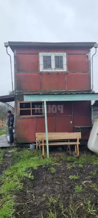 Дом в Вологодская область, Сокол Овражная ул. (33 м) - Фото 2