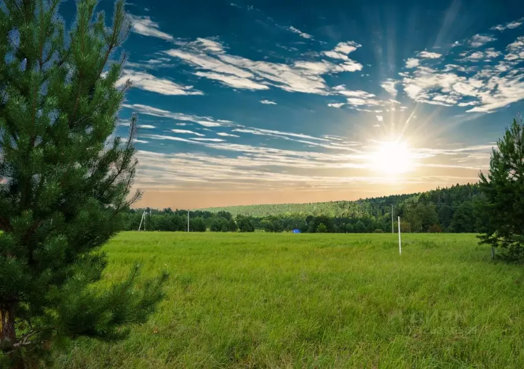 Участок в Московская область, Ступино городской округ, Кедровый парк ... - Фото 1